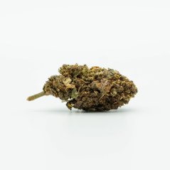 Flor HHC Queso 50%, 1g - 50g