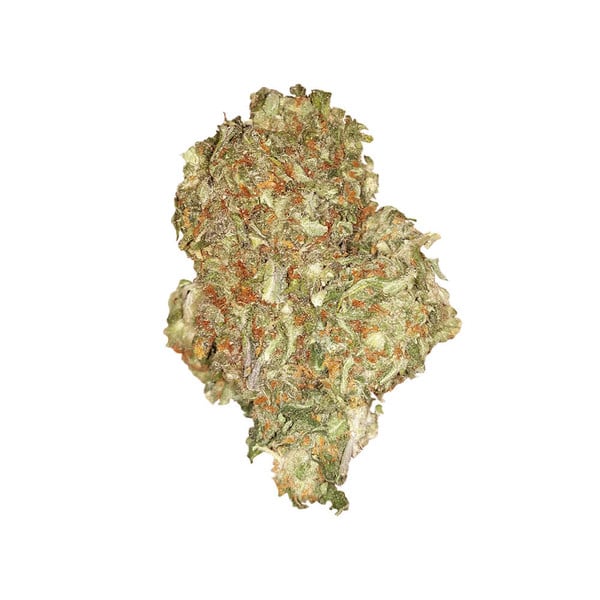 Royal Queen Seeds კანაფის თესლი Quick One Auto