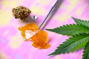 Budder, Shatter, Crumble: Was ist der Unterschied zwischen Cannabiskonzentraten?