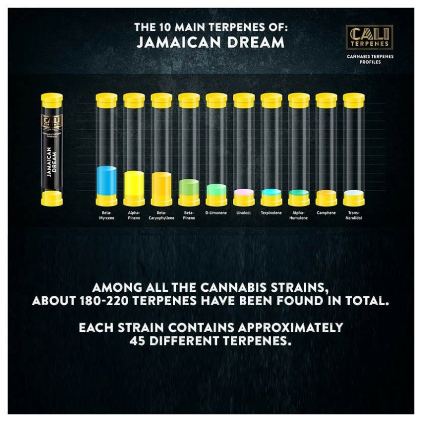 Cali Terpenes - Jamaican Dream, 1 ml