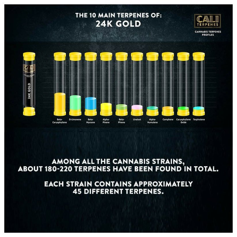 Cali Terpenes - 24K ORO, 1 ml