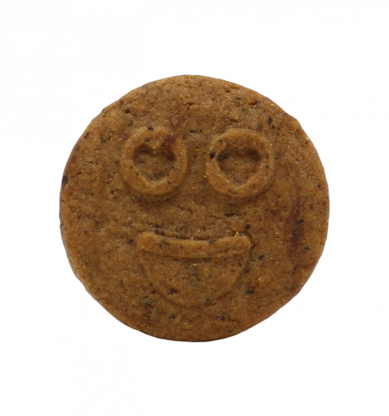 Haut Cannabis Chocholate biscuits avec du CBD, 100g