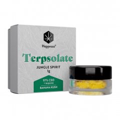 Happease - Extract Jungle geest Terpsolaat, 97% CBD, 1g