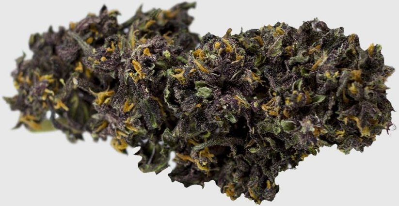 Kwiat CBD Cbweed Deep Purple - 2 do 5 gramów