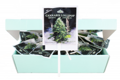 Pirulitos HaZe Cannabis White Widow - Caixa de exibição (100 pirulitos)