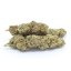 HHC Blommor prov uppsättning - Tropical Kush 10%, Limoncello 20%, Gelato 30%, Amnesia 40%- 4x1g