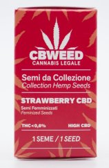 Cbweed Strawberry CBD - 女性化種子 1 個