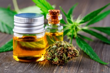 The difference between CBD oil and CBD flowers