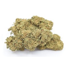 HHC Flowers sample set - Tropical Kush 10%, Limoncello 20%, Gelato 30%, Amnesia 40% - 4x1g