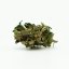 CBD კანაფის ყვავილი Fire Kush, 13% CBD, 0.2% THC (3გ-100გრ)