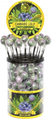 Cannabis Blueberry Haze Lollies – Display Container (100 Lollies)