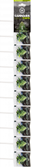 კანაფის თეთრი ქვრივის ლოლიპოპები – ზოლები (10 ლოლი), 25 ზოლი მუყაოს კოლოფში