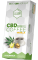 Capsule di caffè alla vaniglia MediCBD (10 mg di CBD) - Cartone (10 scatole)