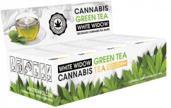 Cannabis White Widow Green Tea - Recipiente Expositor (100 Saquinhos de Chá)