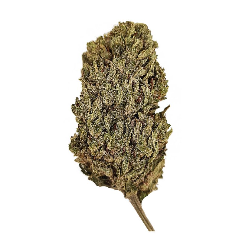 Happease Pegamento Gorilla de flor de CBD - 2 gramos