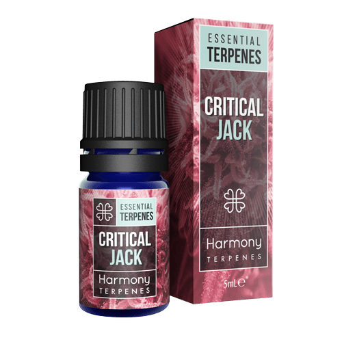 Harmony Critical Jack Essential ტერპენები 5მლ