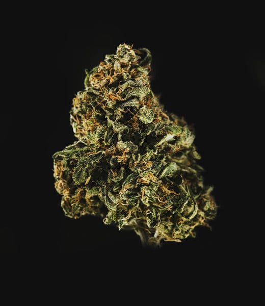 Royal Queen Seeds Żerriegħa tal-Kannabis Royal Dwarf Auto