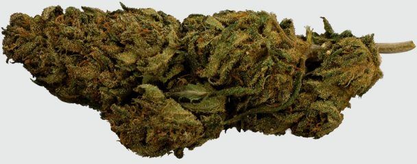 Cannabis Light Cbweed Critical Mass CBD 15,2% 5G