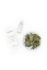Enecta Ambrosia CBD Cannabis Liquide 0,5%, 10ml, 50mg