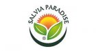 Salvia Paradise
