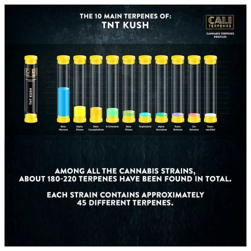 Cali Terpenes - тротил КУШ, 1 мл