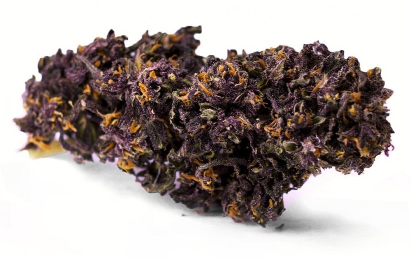 Cbweed Deep Purple CBD Flower - 2 až 5 gramov