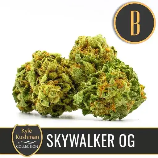 Blimburn Seeds Cannabis Seeds Skywalker OG av Kyle Kushman's Feminized