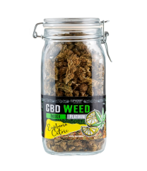 Euphoria CBD Weed Euphoria Ċitriku 100g