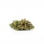 Canalogy HHC blomma Kunglig Ost 10 %, 1g - 1000g