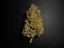 Fast Buds Cannabis Seeds Lemon AK Auto