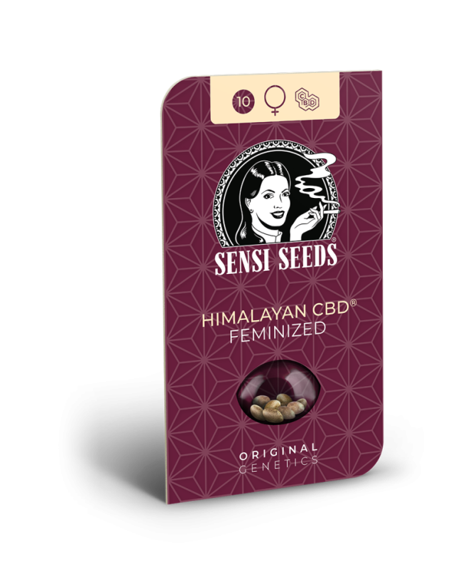 Sensi Seeds Kanapių sėklos Himalajų CBD® feminizuotas, 3-10 vnt.