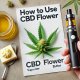 Text: ''Wie man CBD-Blüten verwendet'' auf weißem Hintergrund mit einem CBD-Stick, Öl, Butter und einer Hand, die einen Verdampfer um sich herum hält