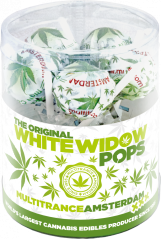 Cannabis White Widow Pops - Lahjarasia (10 Lolliesia), 24 laatikkoa pahvilaatikossa