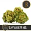 Blimburn Seeds Cannabis Seeds Skywalker OG By Kyle Kushman's Feminized