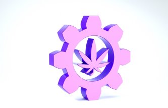 Icona di una provetta chimica con una foglia di cannabis, cos'è il 10-OH-HHCP