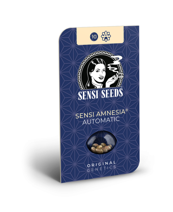 Sensi Seeds კანაფის თესლი Sensi Amnesia Automatic Feminized, 3-10 ც.