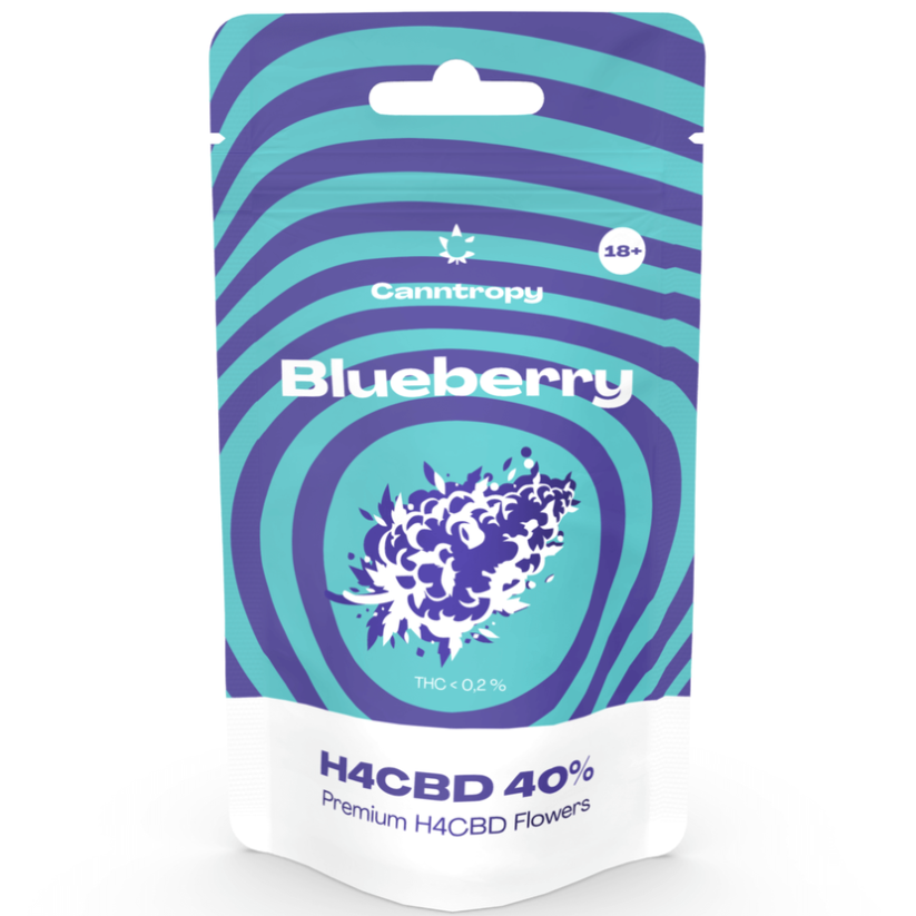 Canntropy H4CBD kwiat Blueberry 40 %, 1 g - 100 g