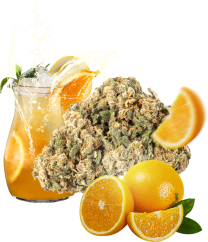 Eighty8 CBD konopný květ Lemonade - 1 až 25 gramů