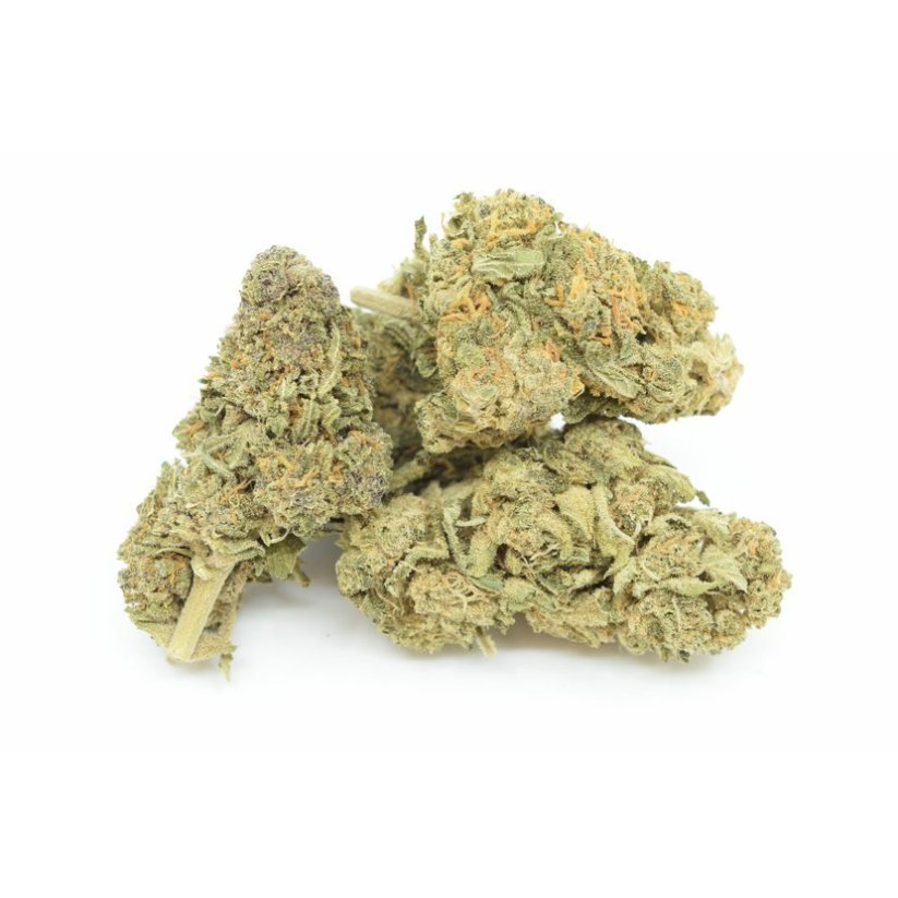 HHC cvet Gelato 30%, 100g - 500g - 1000g