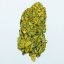 Happease CBD-Blume Amnesia Haze – 2 Gramm