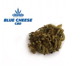 Cbweed Blue Cheese CBD blóm - 2 til 5 grömm