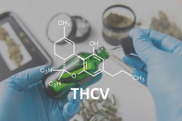 What is THCV and how can it help with weight loss?