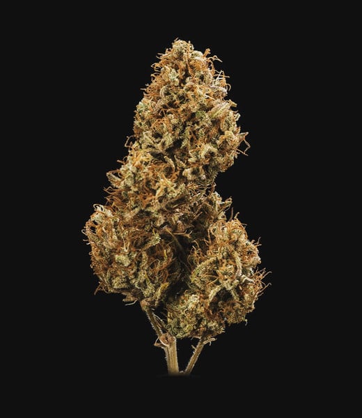 Royal Queen Seeds Żrieragħ tal-Kannabis Blue Cheese Auto