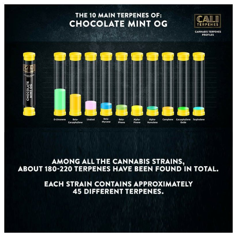 Cali Terpenes - チョコレートミント OG、1 ml