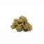 Canalogy HHC kvet Amnesia Haze 20 %, 1g - 1000g