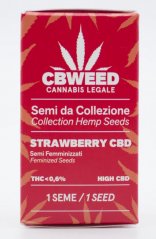 Cbweed Strawberry CBD - 1x nasiona feminizowane