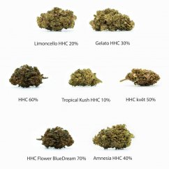 Sada vzoriek HHC Flowers- Tropical Kush 10%, Limoncello 20%, Gelato 30%, Amnesia 40%, Syr 50%, OG Kush 60%, Modrý sen 70% - 7 X 1 g