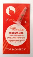 3x CBD Haze Auto (Top Tao Seeds'den itibaren düzenli otomatik çiçek açan tohumlar)