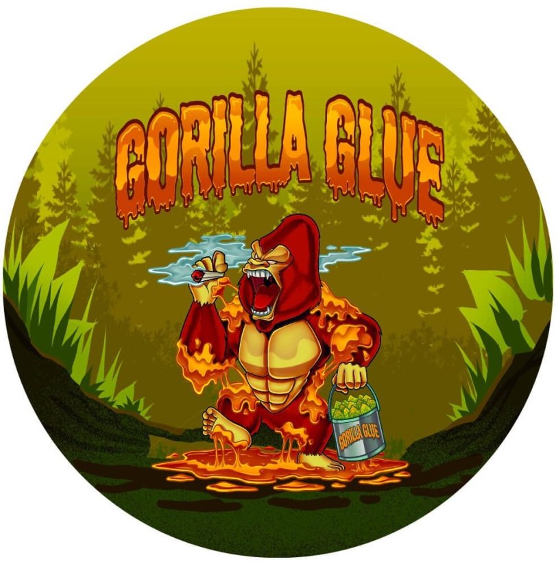 Best Buds Metal Grinder Gorilla Glue 4 dalys – 50mm