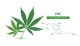 Lá cần sa xanh và công thức hóa học cấu trúc phân tử cannabichromene (CBC) được phân lập trên nền trắng.